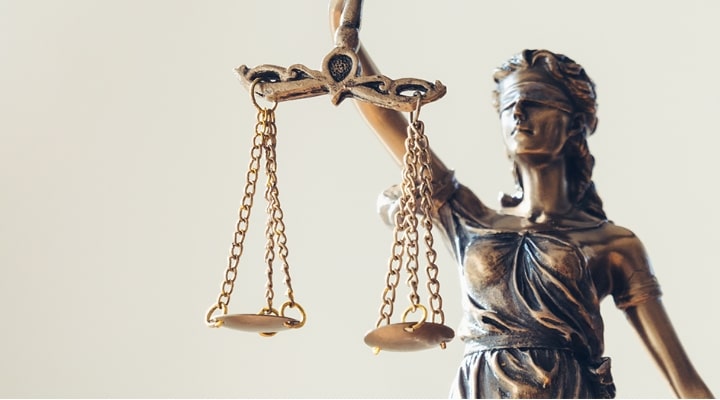  Appeals and Federal Litigation
